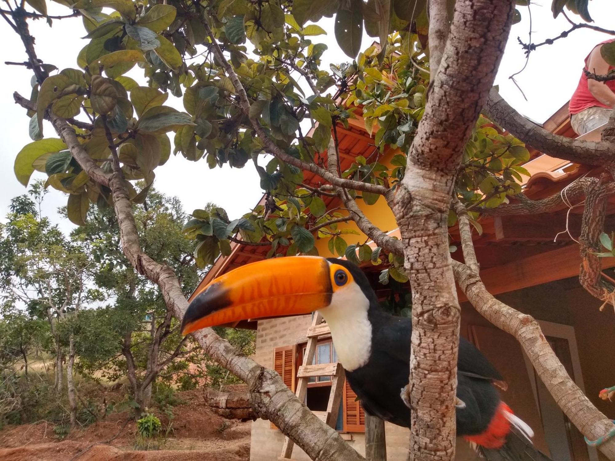 Céu Da Canastra Pensión